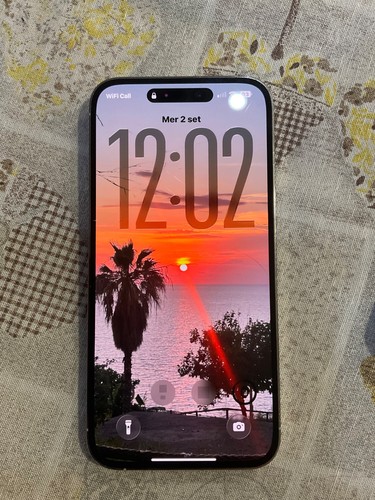 Apple iphone pro max - apple, 14